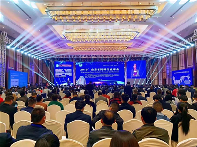 上海佑科全力協(xié)助山東省飼料行業(yè)年會(huì)圓滿成功
